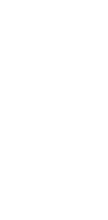魚屋が作る、愛犬のごはん