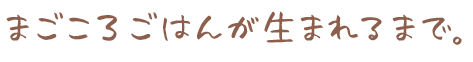 まごころごはんが生まれるまで。