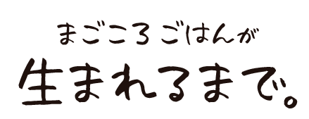 まごころごはんが生まれるまで。